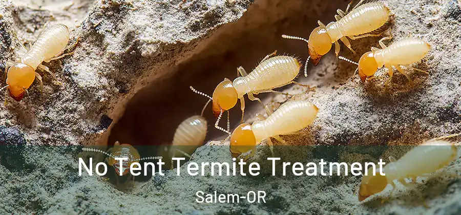  No Tent Termite Treatment Salem-OR