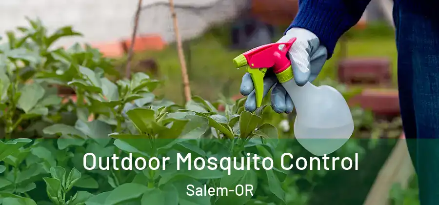  Outdoor Mosquito Control Salem-OR