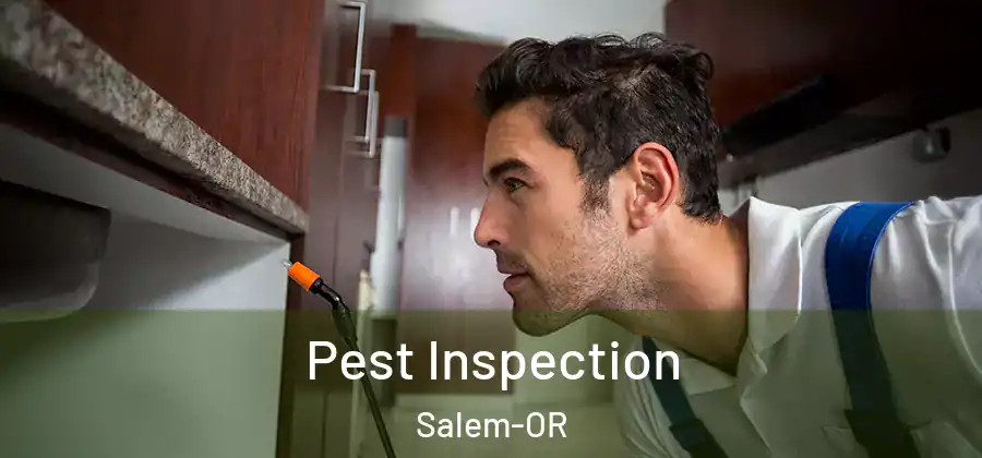  Pest Inspection Salem-OR