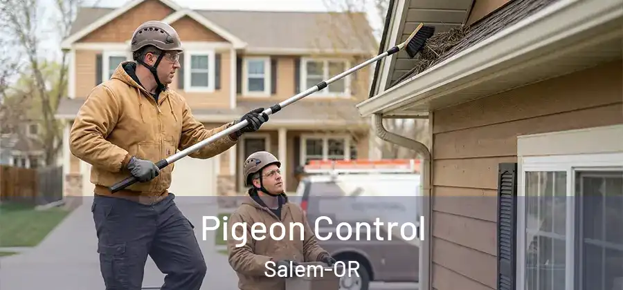  Pigeon Control Salem-OR