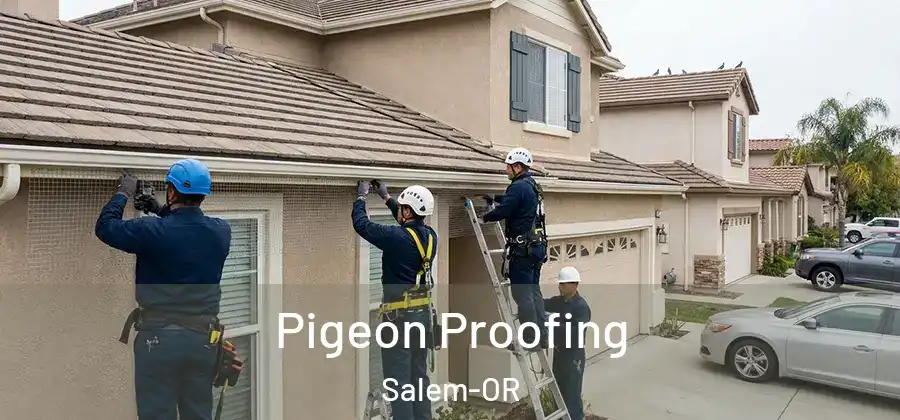  Pigeon Proofing Salem-OR