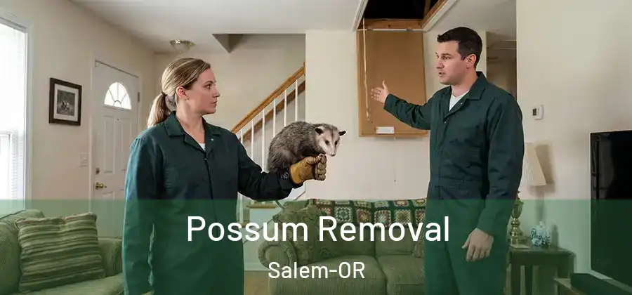  Possum Removal Salem-OR