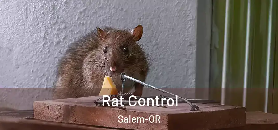  Rat Control Salem-OR