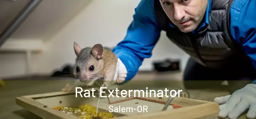  Rat Exterminator Salem-OR