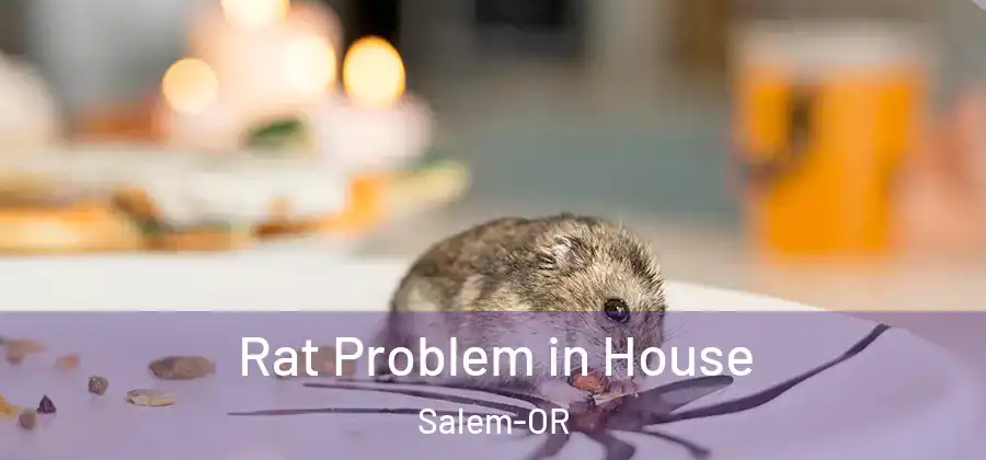  Rat Problem in House Salem-OR