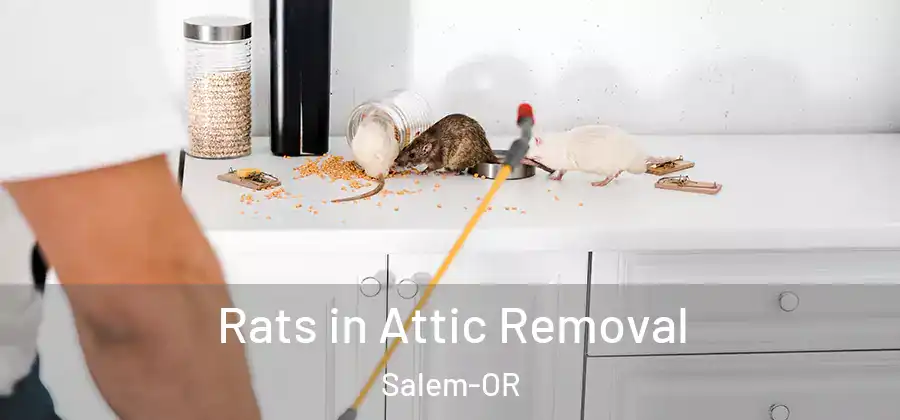  Rats in Attic Removal Salem-OR