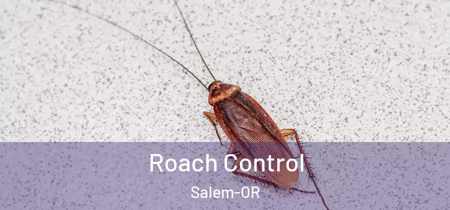  Roach Control Salem-OR