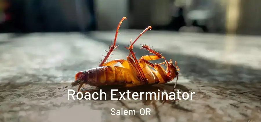  Roach Exterminator Salem-OR