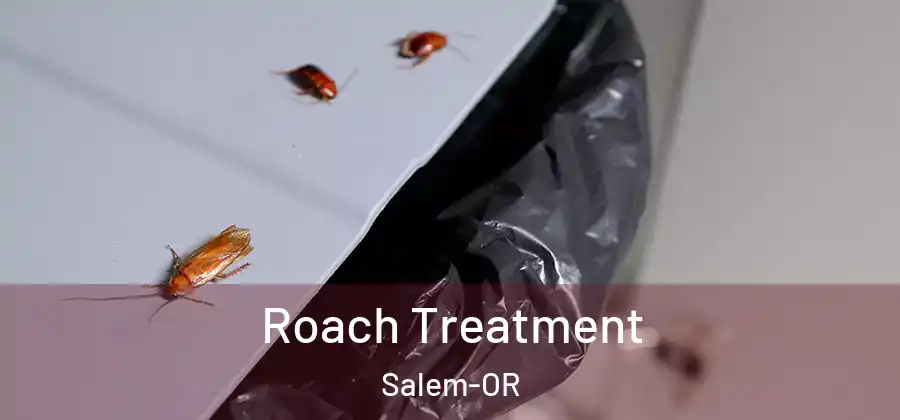  Roach Treatment Salem-OR