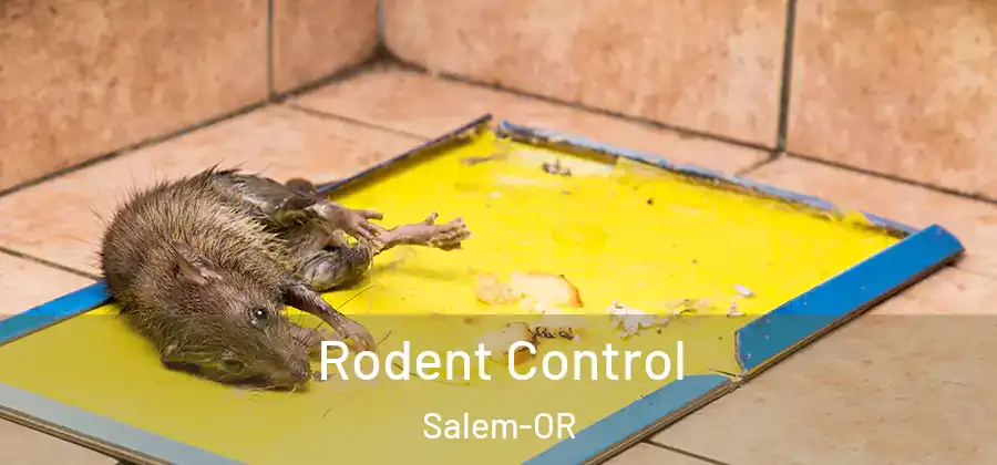  Rodent Control Salem-OR