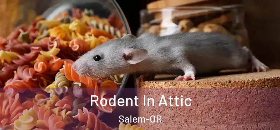  Rodent In Attic Salem-OR