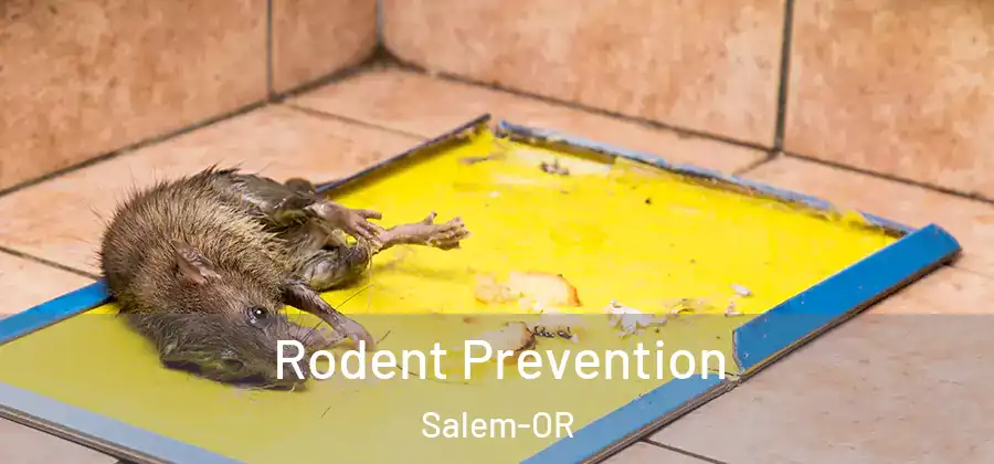  Rodent Prevention Salem-OR