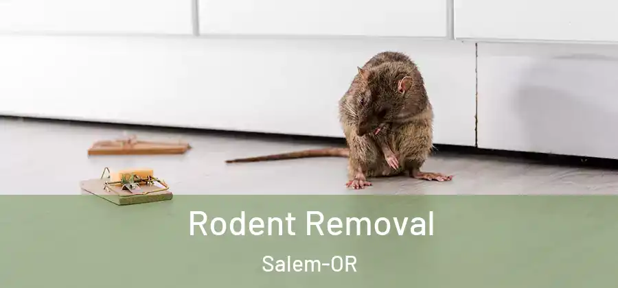  Rodent Removal Salem-OR