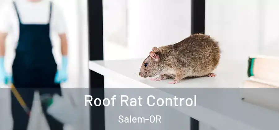  Roof Rat Control Salem-OR