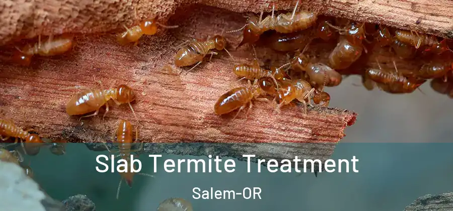  Slab Termite Treatment Salem-OR