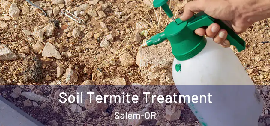  Soil Termite Treatment Salem-OR