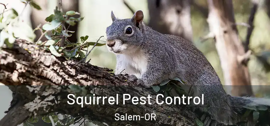  Squirrel Pest Control Salem-OR