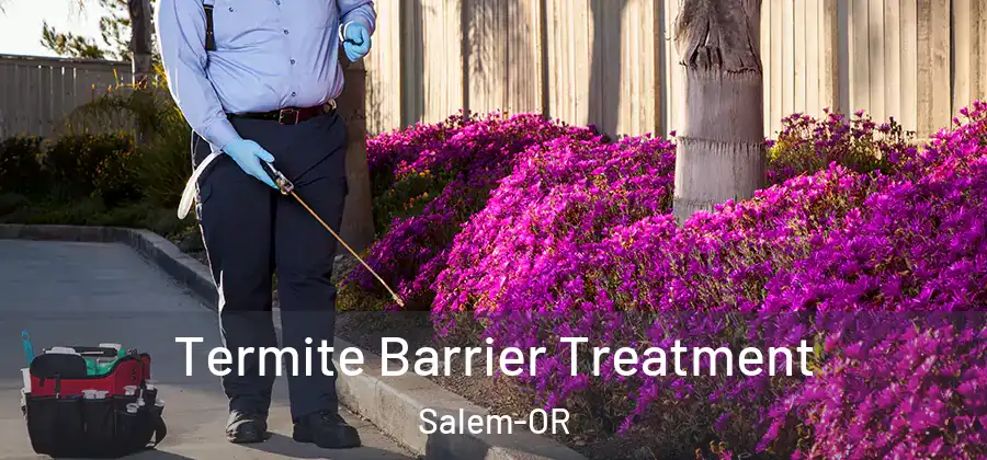  Termite Barrier Treatment Salem-OR