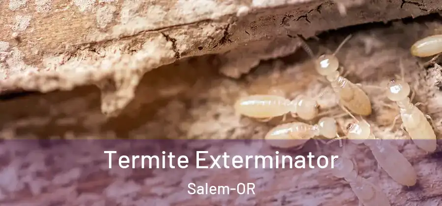  Termite Exterminator Salem-OR