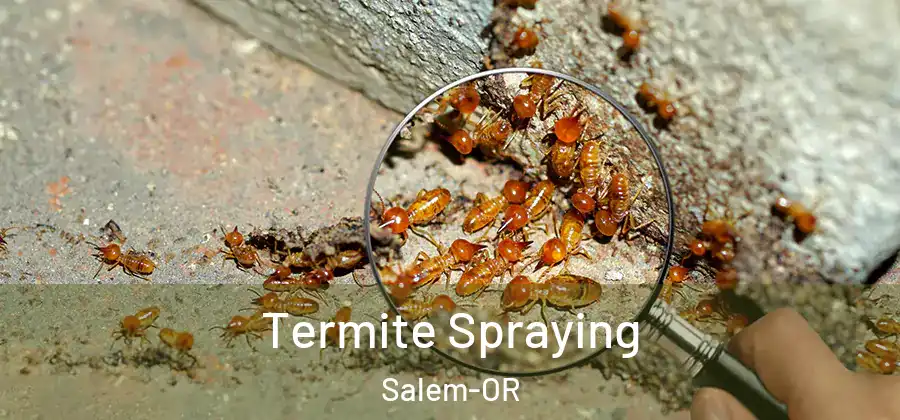  Termite Spraying Salem-OR