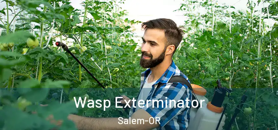  Wasp Exterminator Salem-OR