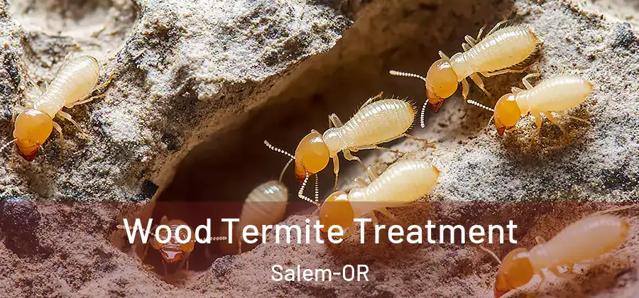  Wood Termite Treatment Salem-OR