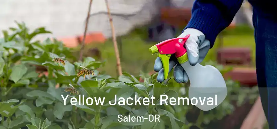  Yellow Jacket Removal Salem-OR